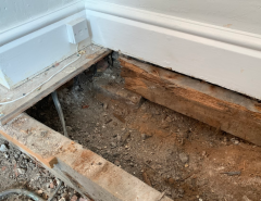 Wood rot