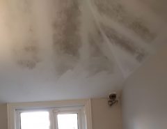 Damp patches and mould staining on a kitchen ceiling caused by condensation and poor ventilation.