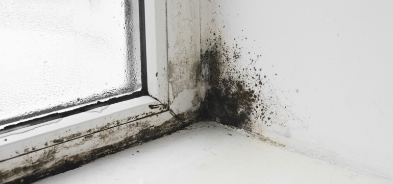 Black mold growing in the corner of a white windowsill and wall, with condensation visible on the window glass.
