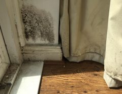 Black mold spots spreading on a white wall beside a window, with a stained curtain hanging over a wooden floor.