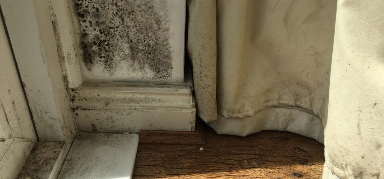 Black mold spots spreading on a white wall beside a window, with a stained curtain hanging over a wooden floor.