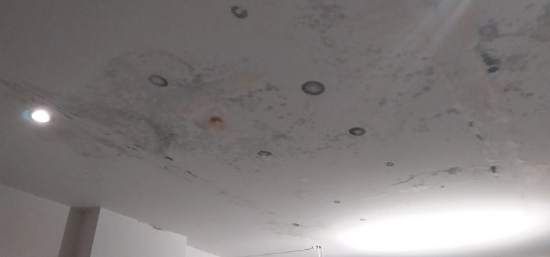 Property ceiling with numerous mould stains, water damage and recessed lights. Sign of condensation forming inside a property