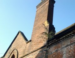 A brick chimney stack with visible vegetation and weeds growing from the masonry joints, used as an illustrative example of the causes of damp on a chimney breast.