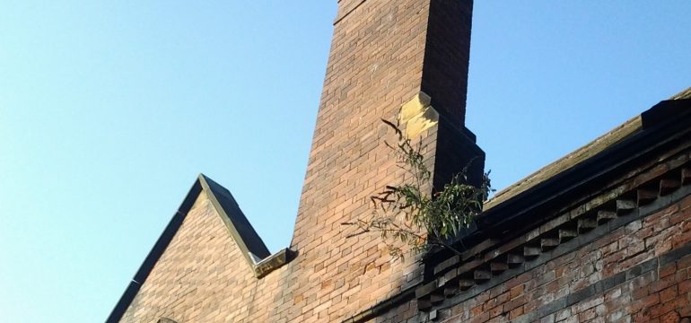 A brick chimney stack with visible vegetation and weeds growing from the masonry joints, used as an illustrative example of the causes of damp on a chimney breast.
