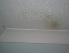 Visible ghosting appearing on the ceiling