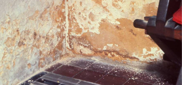 A close-up of a damp, moldy wall corner with peeling paint and damage, next to dark floor tiles