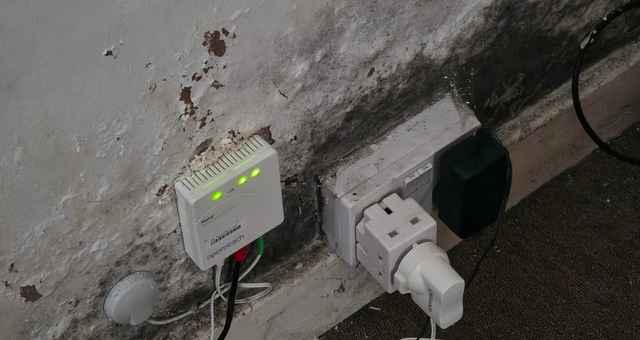 Penerrating damp on Skirting Boards