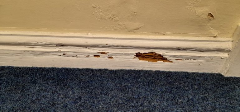 Rotten and Damp Skirting Boards