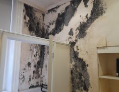 Dry out Damp Walls