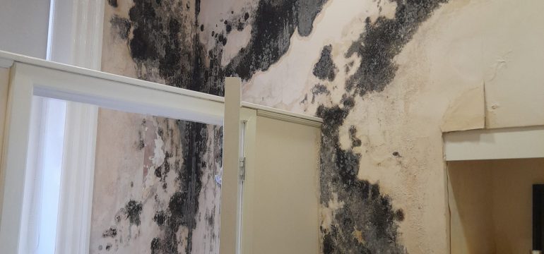 Dry out Damp Walls