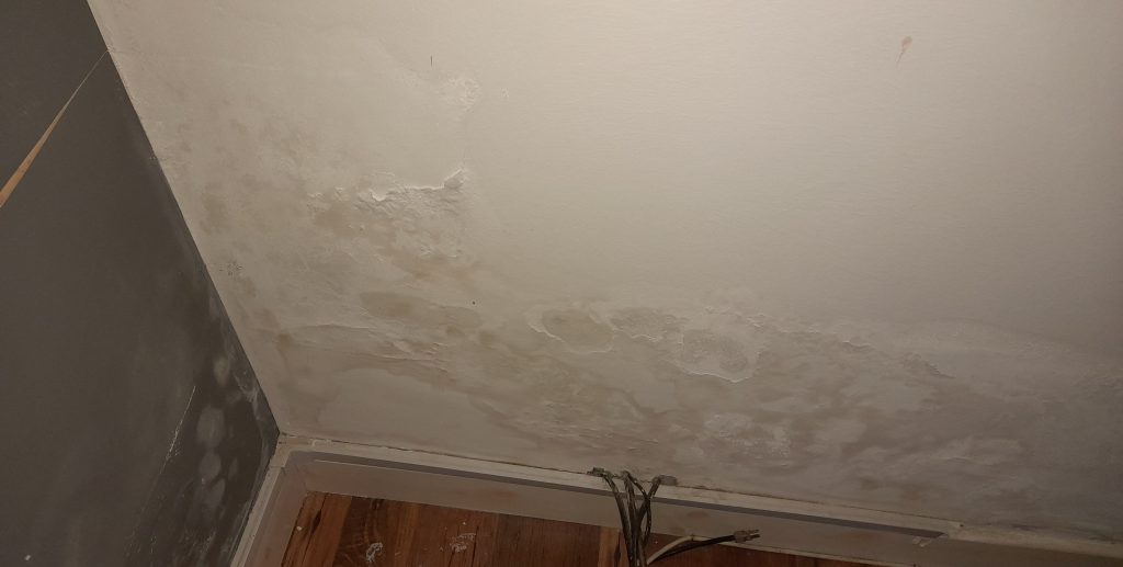 The telltale signs of damp