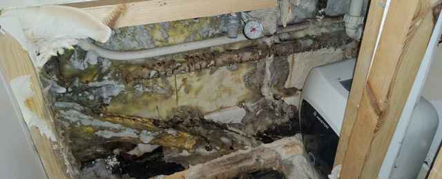All timber that has lost structural integrity needs to be replaced while any fungal strands that remain must be removed