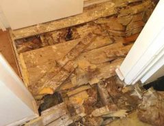 Dry rot breaking the floor skirts