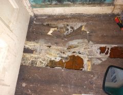 Dry Rot Under Floorboards