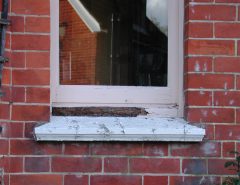 Wood rot ,Window Decay