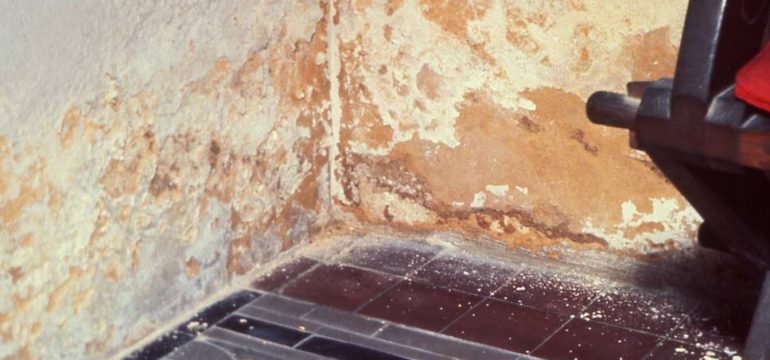 Bad Damp Paired With DPA8 Lab Slide