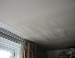 Flat Roof Leak