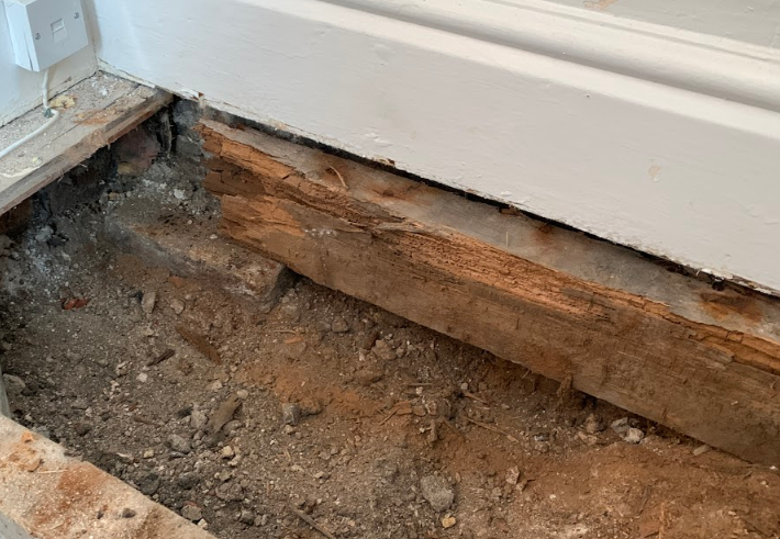 Wood rot